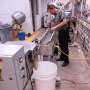 Traditional plastic forks shed harmful microplastics. Plastic created from sugar is an alternative