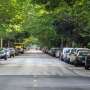 Green space is linked with fewer gun-related homicides—but not everywhere
