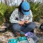 Florida scrub-jays attempt to breed at unusually young age after large-scale translocation
