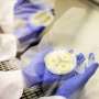 How a new fungal genome-editing tool could open fresh paths to cancer treatments