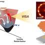 Controlled vapor treatment guides molecules into highly oriented soft quasicrystals