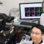 Unlocking the cell's supply chain: How cholesterol keeps cellular recycling centers running