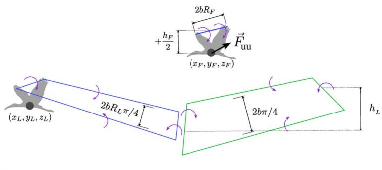V Formation Flying of Birds is Explained by a Minimal Wake–Vortex Model