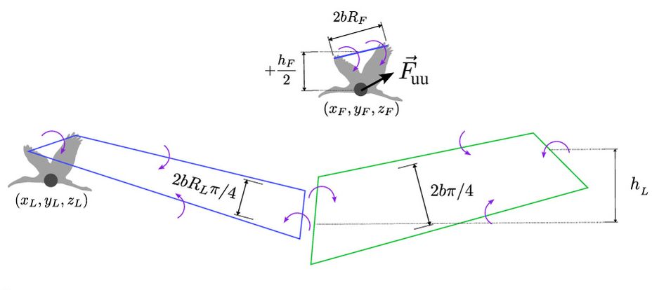V Formation Flying of Birds is Explained by a Minimal Wake–Vortex Model