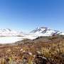 Forgotten samples from Greenland's Cold War base reveal warmer summers during ancient ice-free period