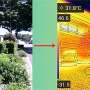 Well-designed urban street plantings provide relief from summer heat