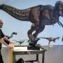 Were there tiny dinosaurs? New study explores one of evolution's biggest mysteries