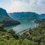 Why natural forests survive heat waves better than planted forests