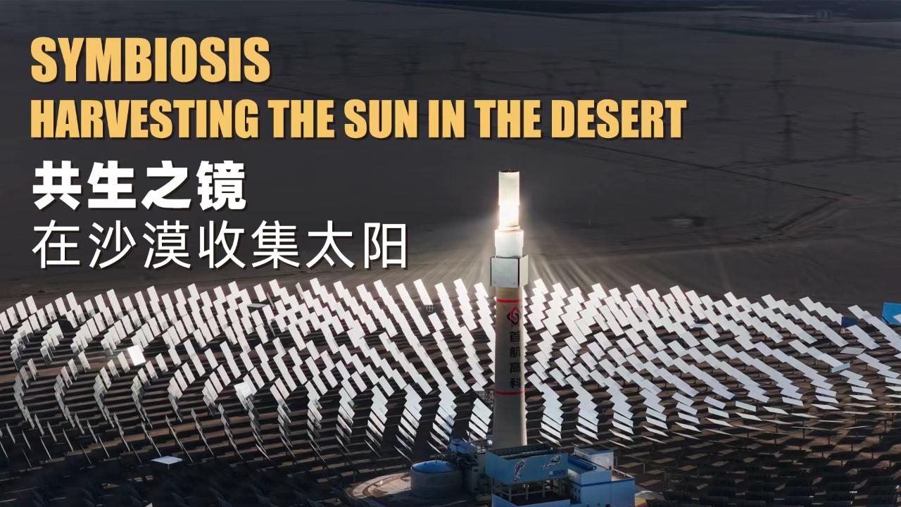 Symbiosis | Harvesting the Sun in the Desert