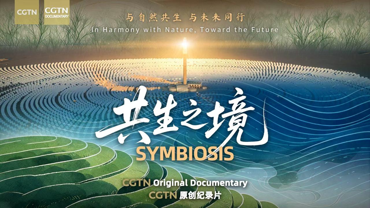 Symbiosis