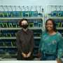 Zebrafish reveal wider role for gene linked to human albinism